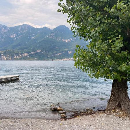 Al Cottage Oliveto Lario Εξωτερικό φωτογραφία