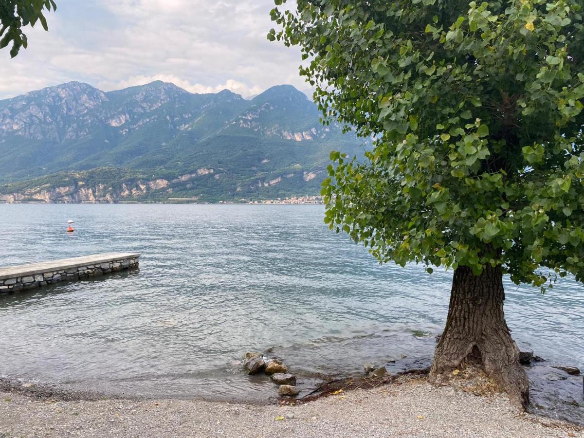 Al Cottage Oliveto Lario Εξωτερικό φωτογραφία